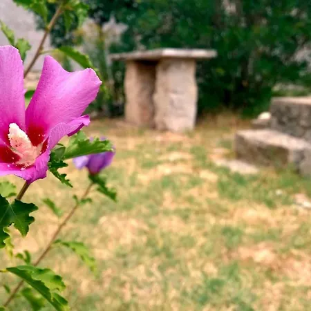 Διαμέρισμα Tome