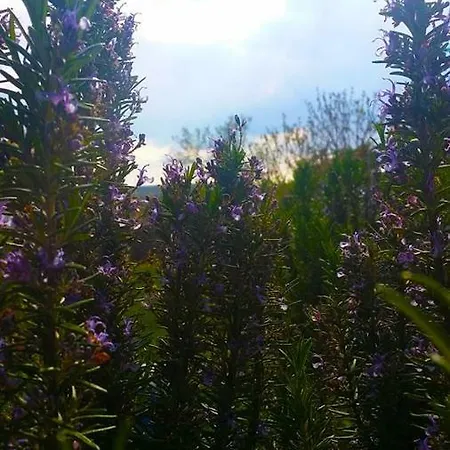 Tome Διαμέρισμα