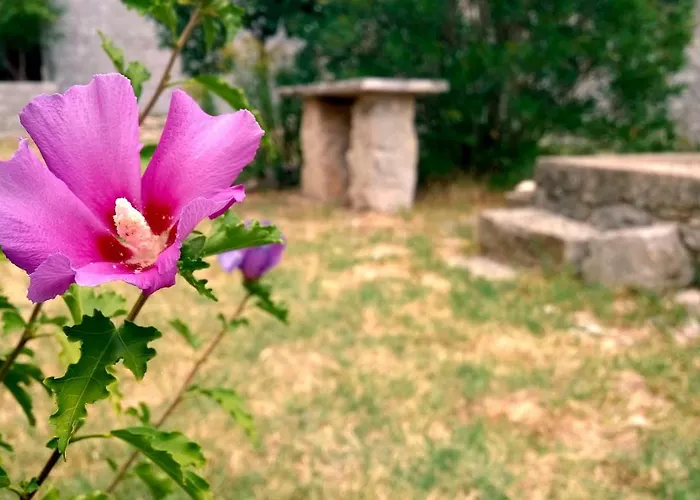 Апартаменты Tome